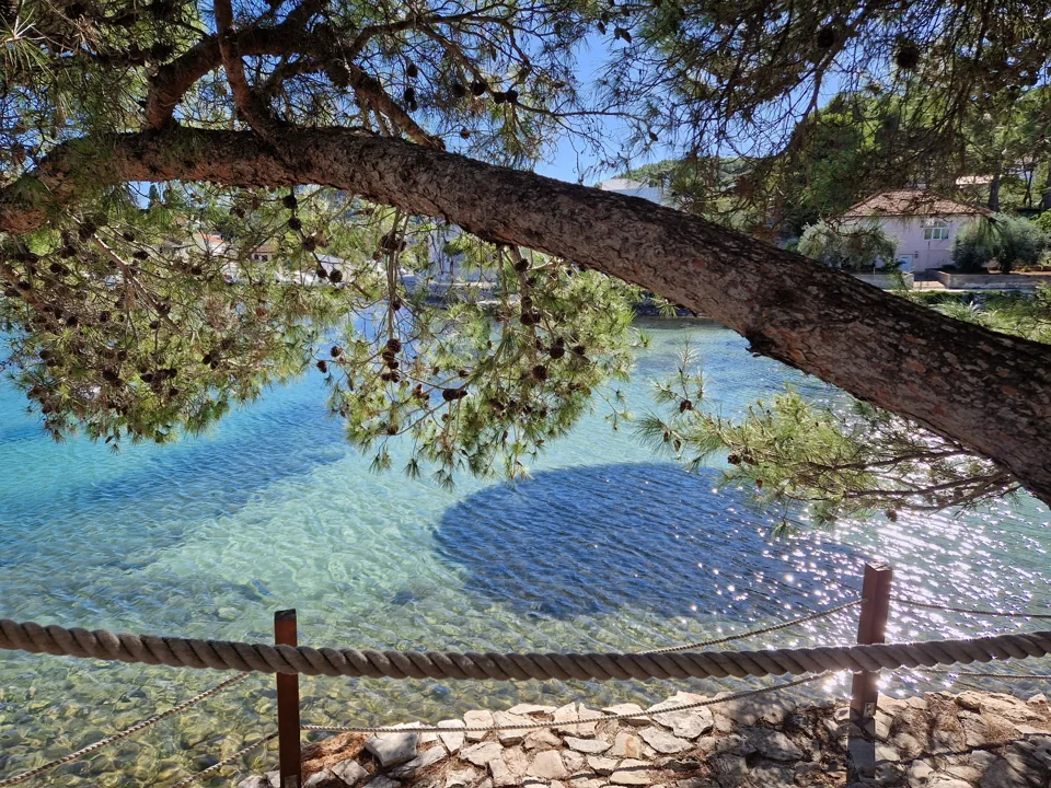 Türkisblaues Wasser unter schattenspendenden Bäumen in Žman.